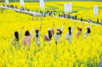 花海迎春，文旅融合——2022湖南油菜花节双峰锁石镇花之缘AAA级景区第十一届油菜花文化旅游节分会场正式启动