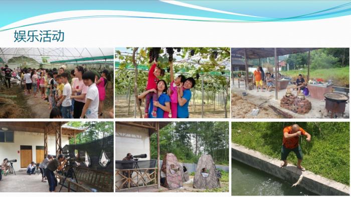 福建坤雅康养农业观光 自然与健康的完美融合