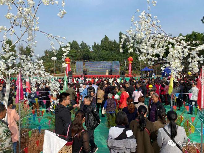 共包含脱贫攻坚农产品成果展示,三星镇特色美食汇,休闲观光体验活动