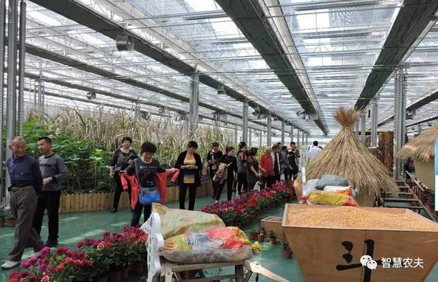 如何做好观光农业生态园的规划与设计?