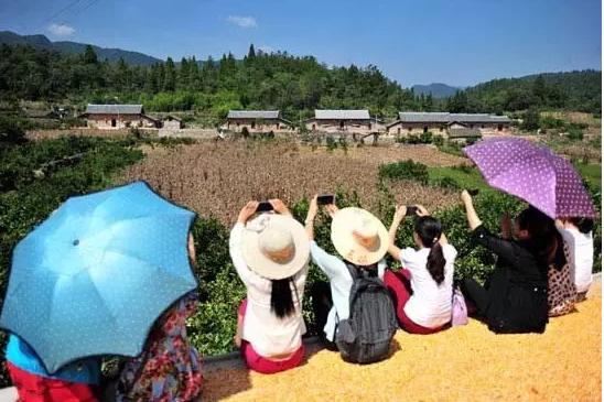大揭秘!休闲观光牧场:8大案例、5大模式